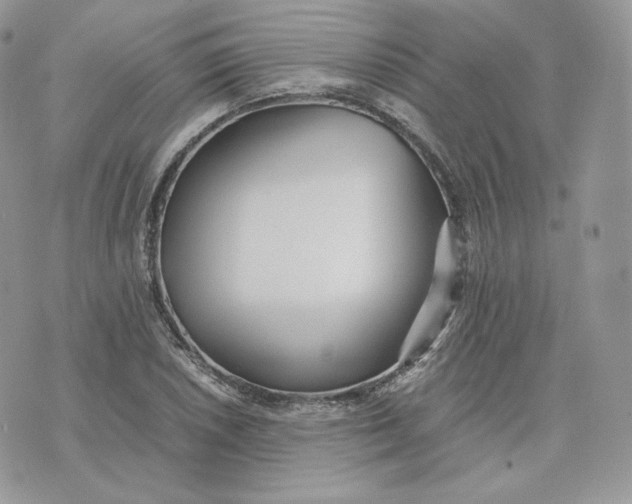 X0000075411026200609291701