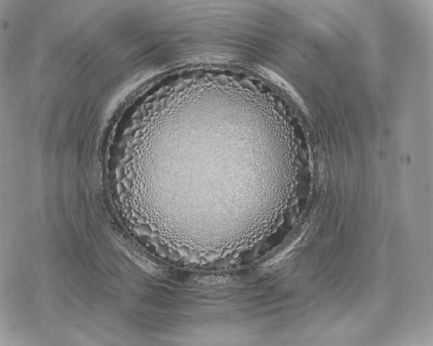 X0000075411027200609291701