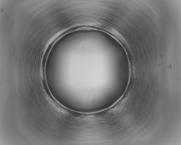 X0000075411028200609291701