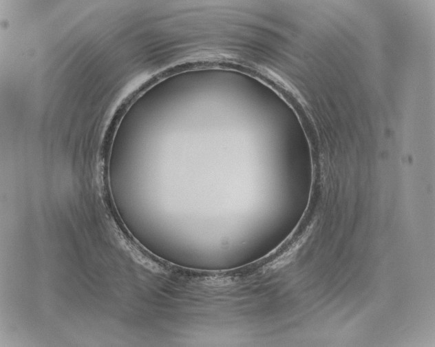 X0000075411029200609291701