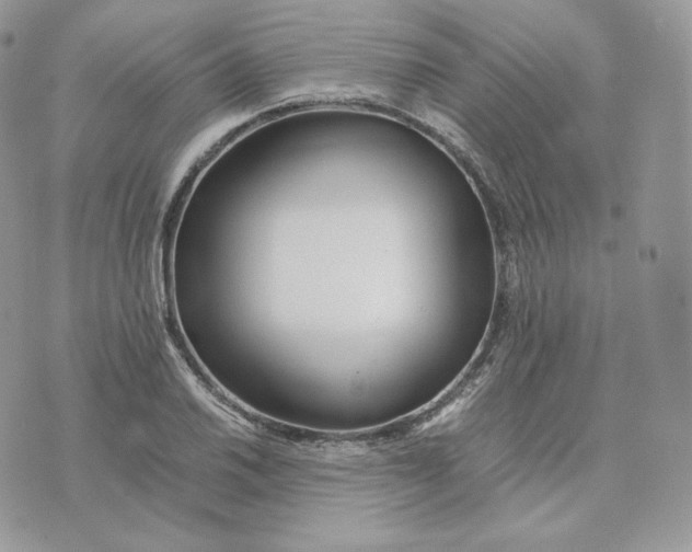 X0000075411030200609291701