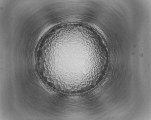 X0000075411031200609291701