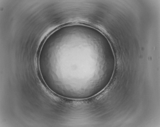 X0000075411032200609291701