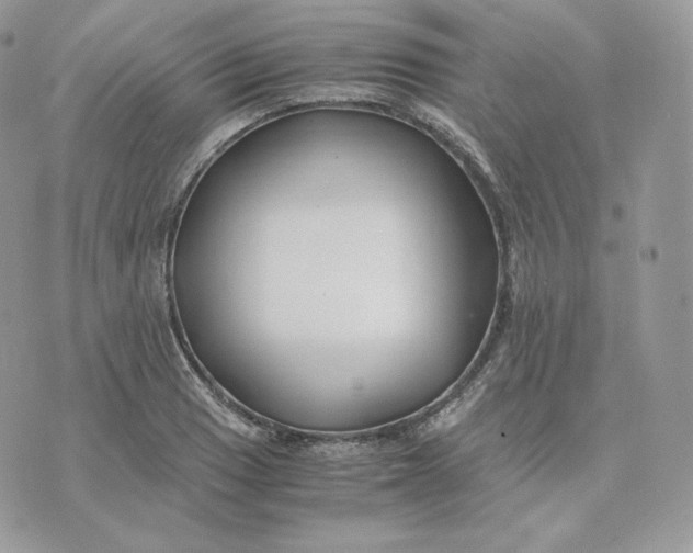 X0000075411033200609291701