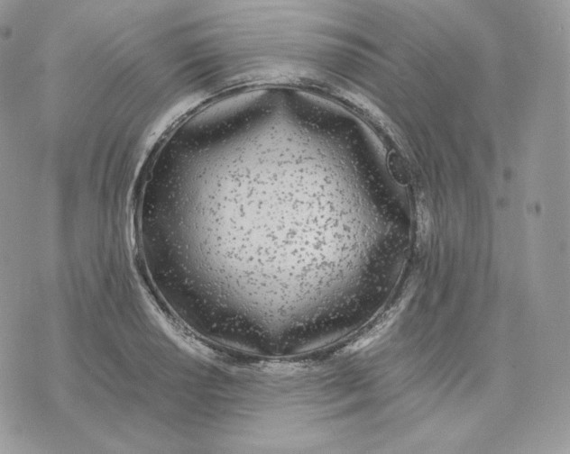 X0000075411034200609291701