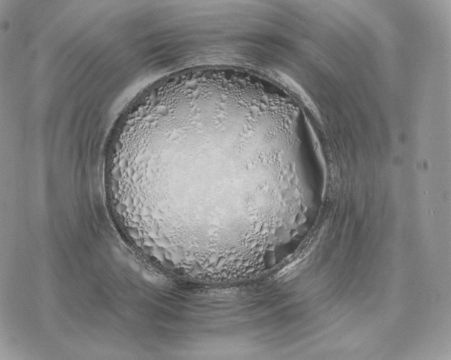 X0000075411035200609291701