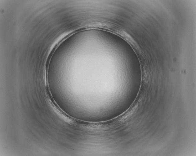 X0000075411036200609291701