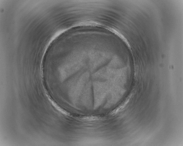 X0000075411037200609291701