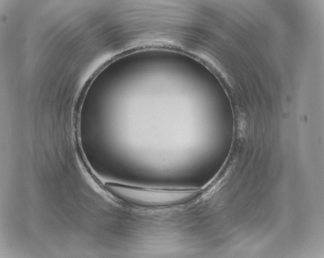 X0000075411038200609291701