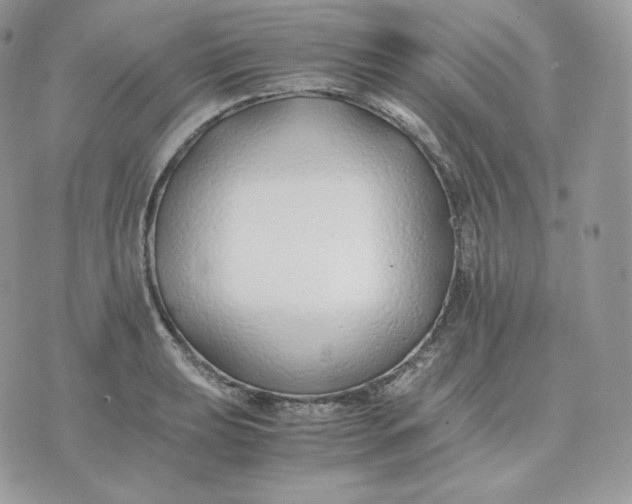 X0000075411039200609291701