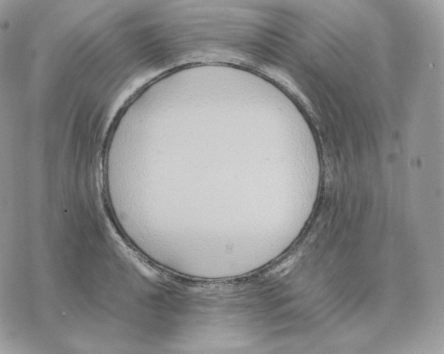 X0000075411040200609291701