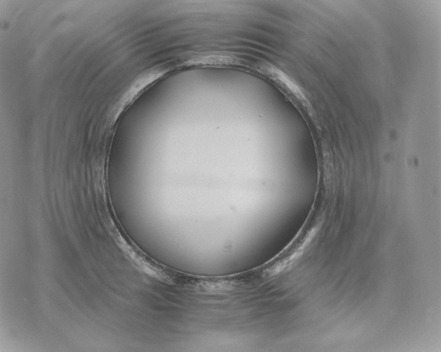 X0000075411041200609291701