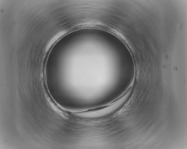 X0000075411042200609291701