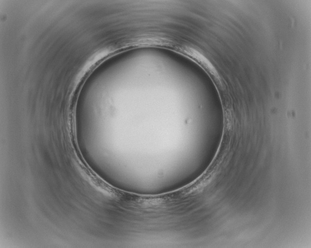 X0000075411043200609291701