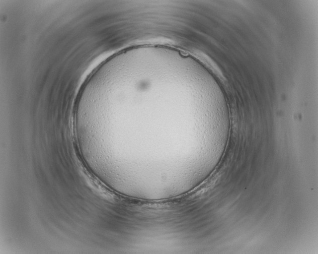 X0000075411044200609291701