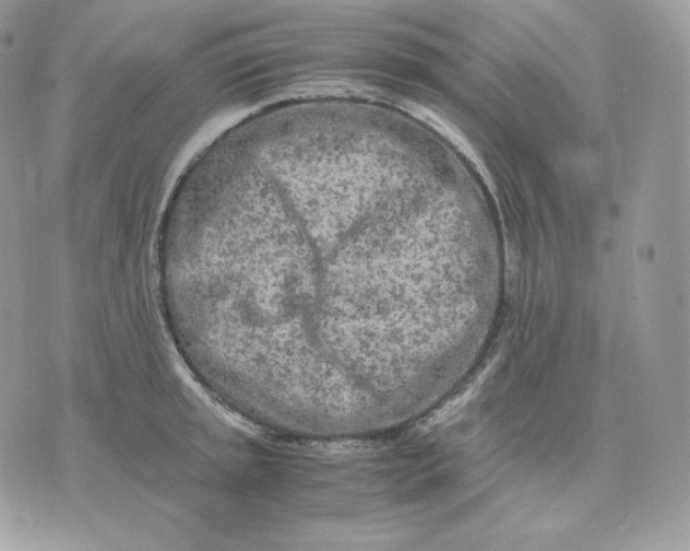 X0000075411045200609291701