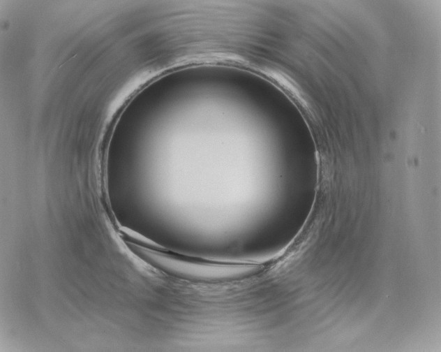 X0000075411046200609291701