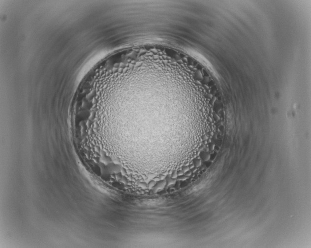 X0000075411047200609291701