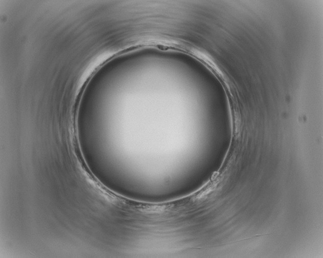 X0000075411048200609291701