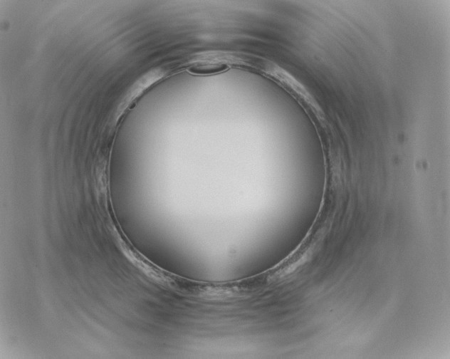 X0000075411049200609291701