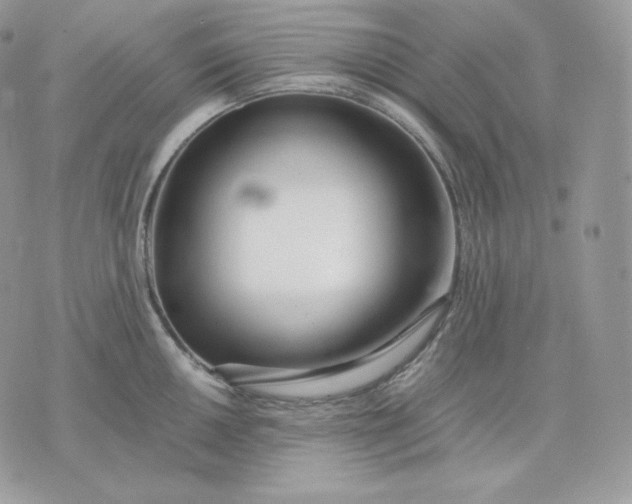 X0000075411050200609291701