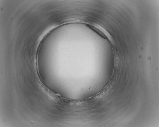 X0000075411051200609291701