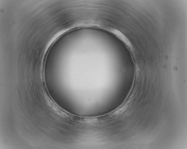 X0000075411052200609291701