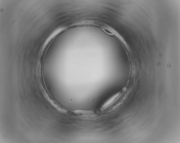 X0000075411053200609291701