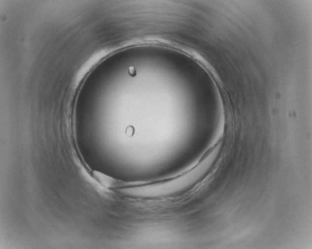 X0000075411054200609291701