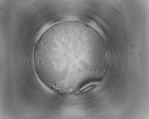 X0000075411055200609291701