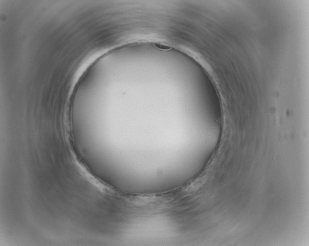 X0000075411056200609291701