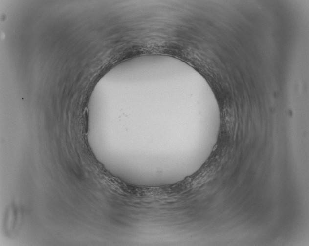 X0000075411057200609291701