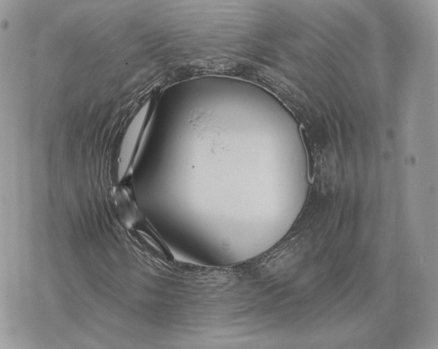 X0000075411058200609291700