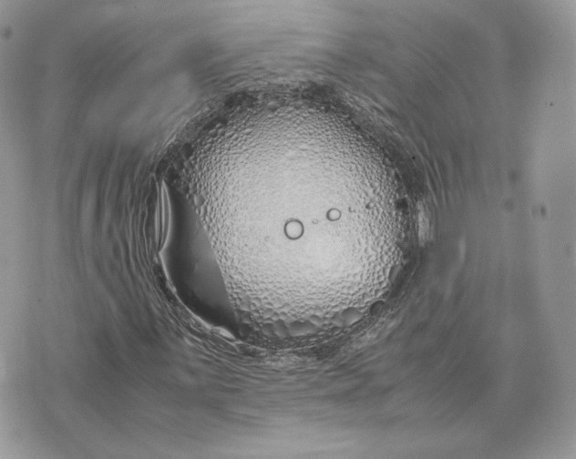 X0000075411059200609291700