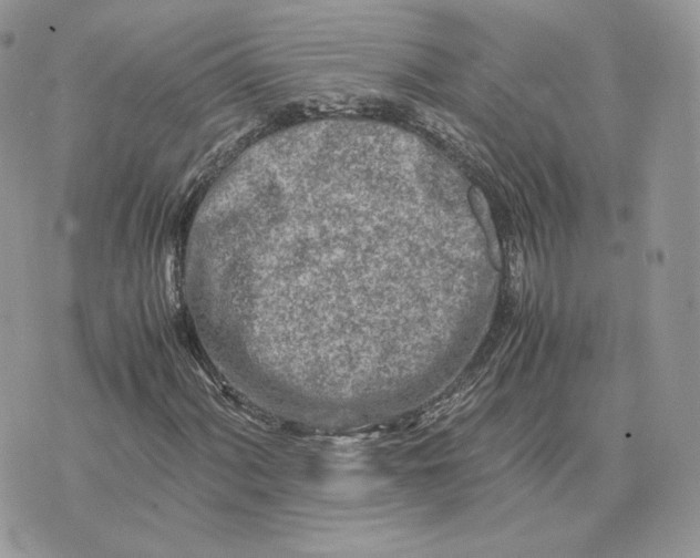 X0000075411060200609291700