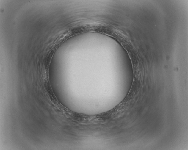 X0000075411061200609291700