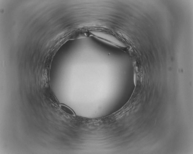 X0000075411062200609291700