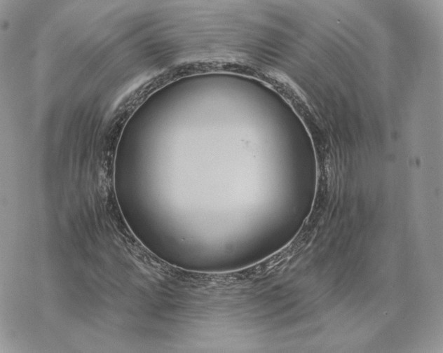 X0000075411064200609291700