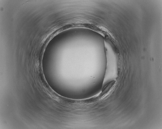 X0000075411065200609291700