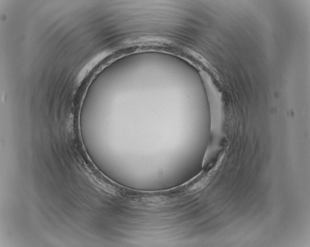 X0000075411066200609291700