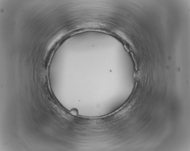 X0000075411067200609291700