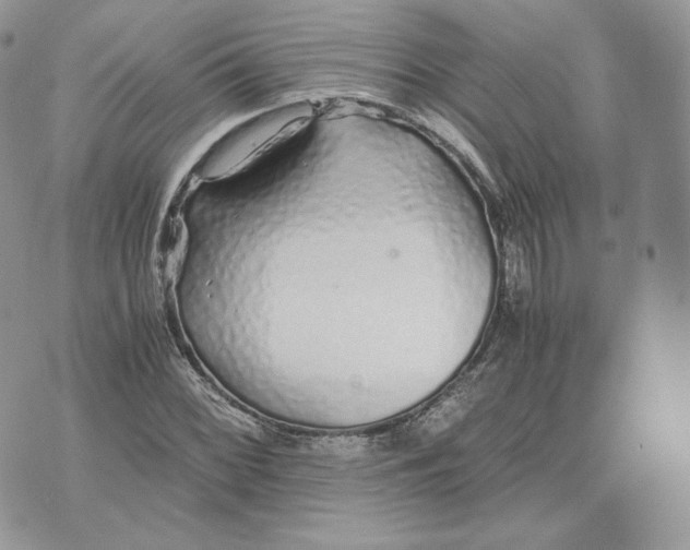 X0000075411068200609291700