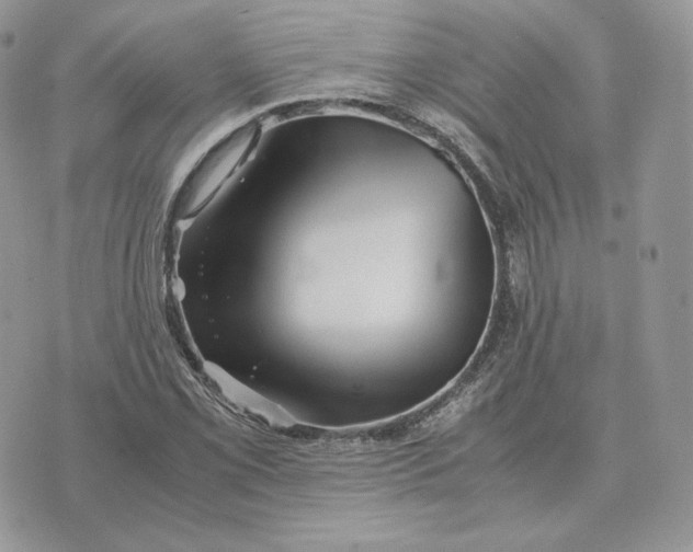 X0000075411069200609291700