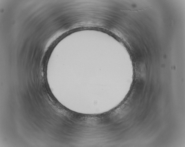 X0000075411070200609291700