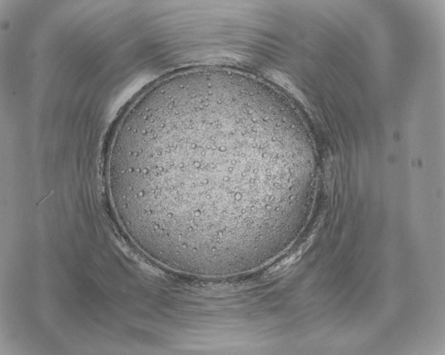 X0000075411071200609291700