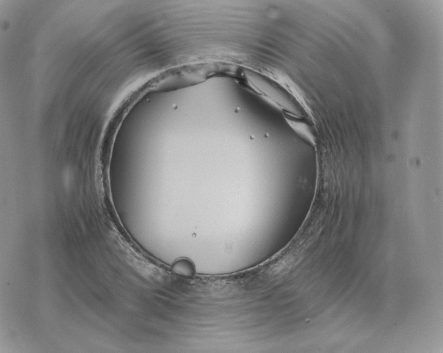 X0000075411072200609291700