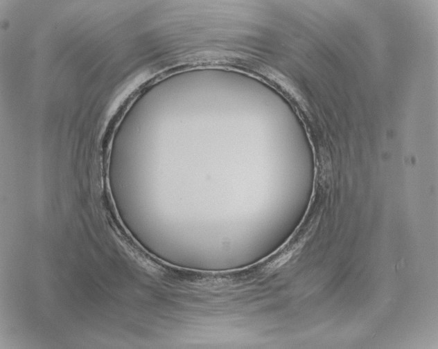 X0000075411075200609291700