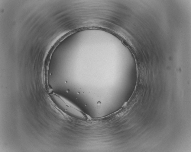 X0000075411076200609291700