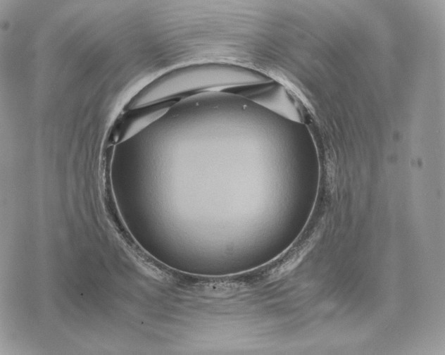 X0000075411077200609291700