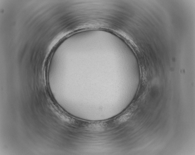 X0000075411078200609291700